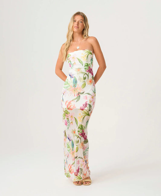 Sofia Tube Dress Paradise Bloom